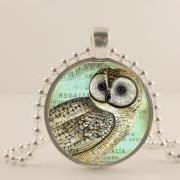 Snow owl, Harry Potter Owl. 1 inch sterling silver metal pendant tray, glass dome, chain, necklace. Nature, woodland, animal 